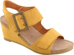 Taos High Society -Englins Fine Footwear Store taos womens high society wheat suede his 7220 whes 44262.1585098021